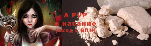 молекула духа Мегион