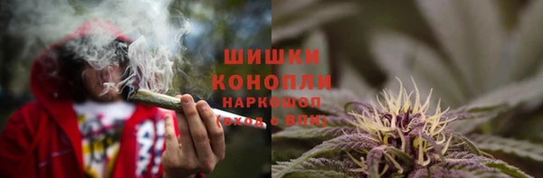 амф Медногорск