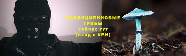 эйфоретик Медвежьегорск