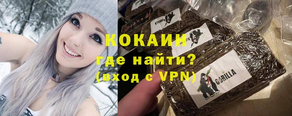 индика Ачинск