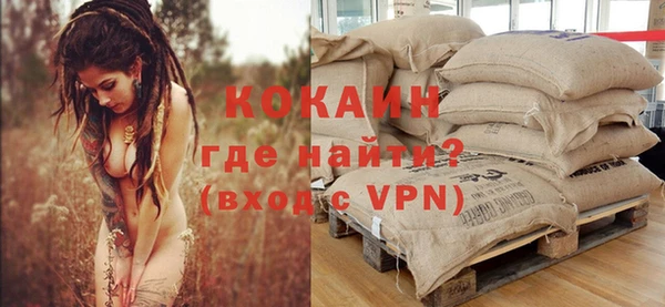 индика Ачинск