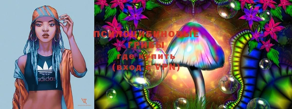 молекула духа Мегион