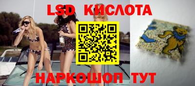 твердый Владимир