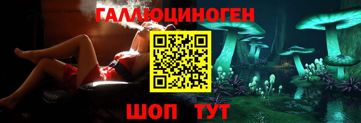 Одинцово  Псилоцибиновые грибы GOLDEN TEACHER  Галлюциногенные грибы мухоморы  Вход с VPN 