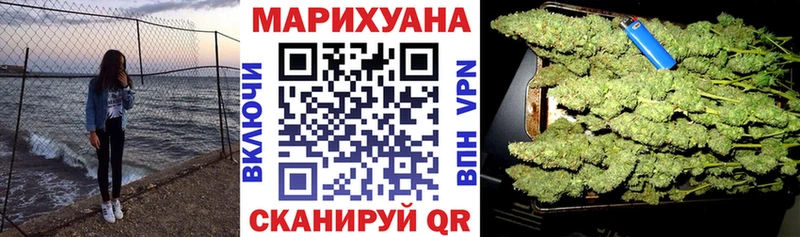 Конопля гибрид  Одинцово 
